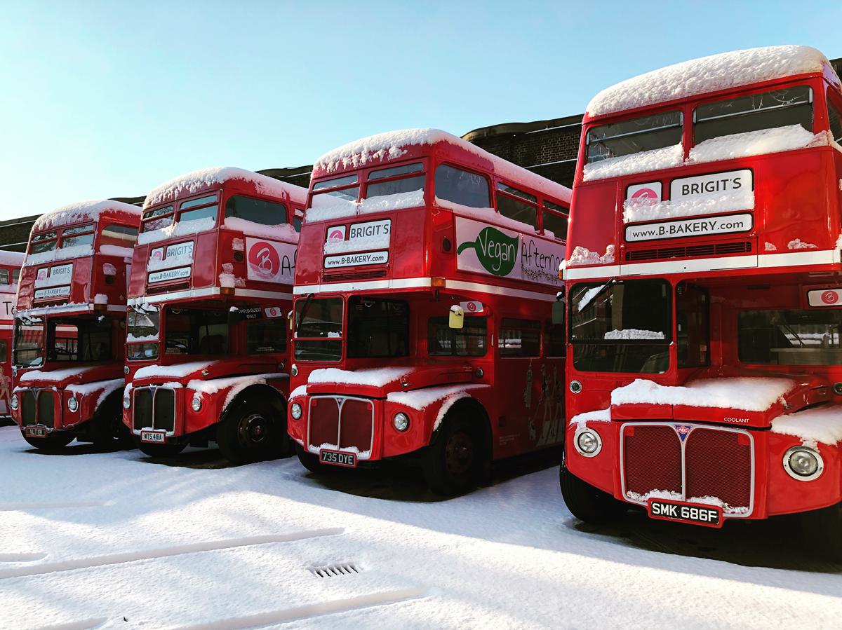 10 years of bus tours - our buses in the snow!
