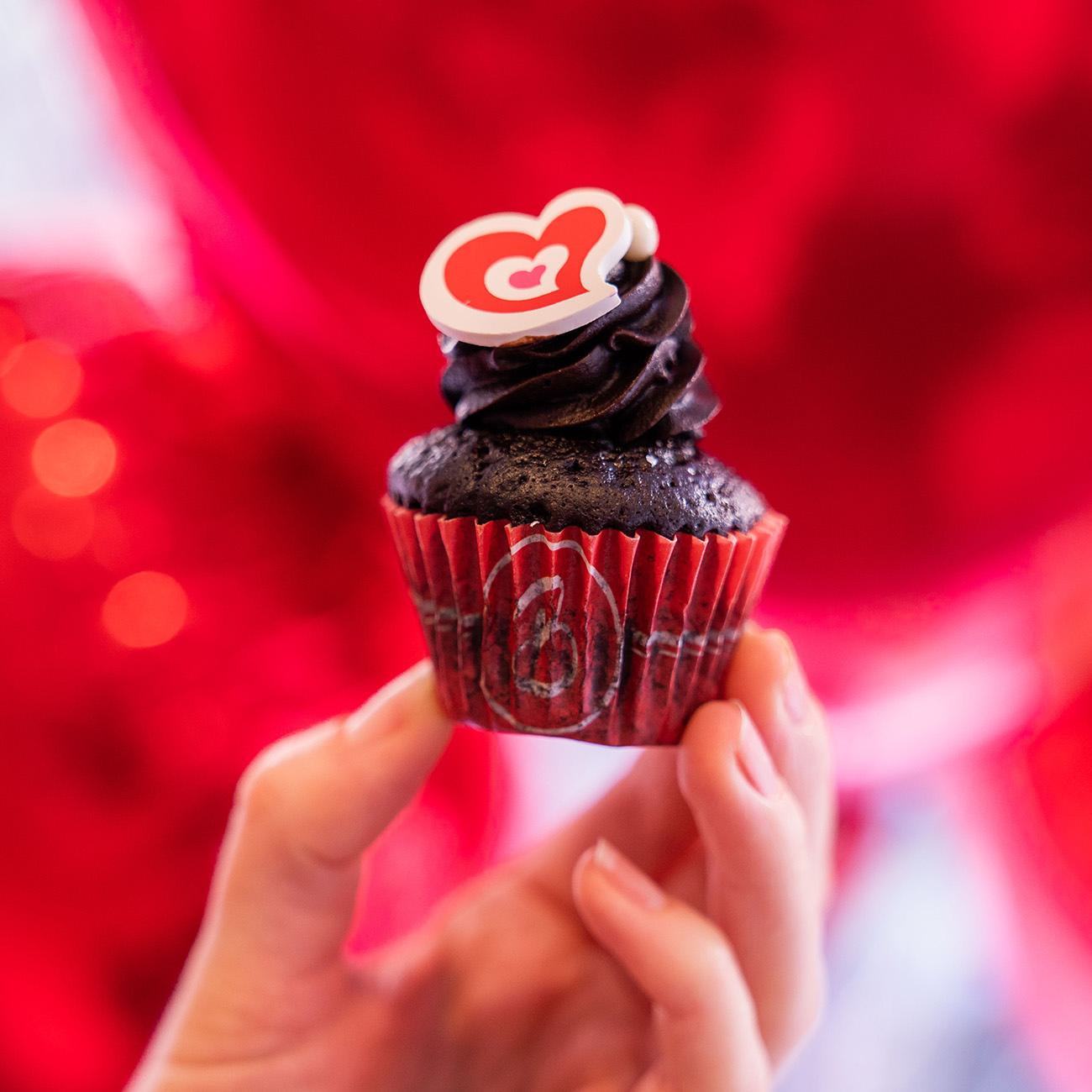 Vegan Options: Chocolate Cupcake at Brigit's Bakery