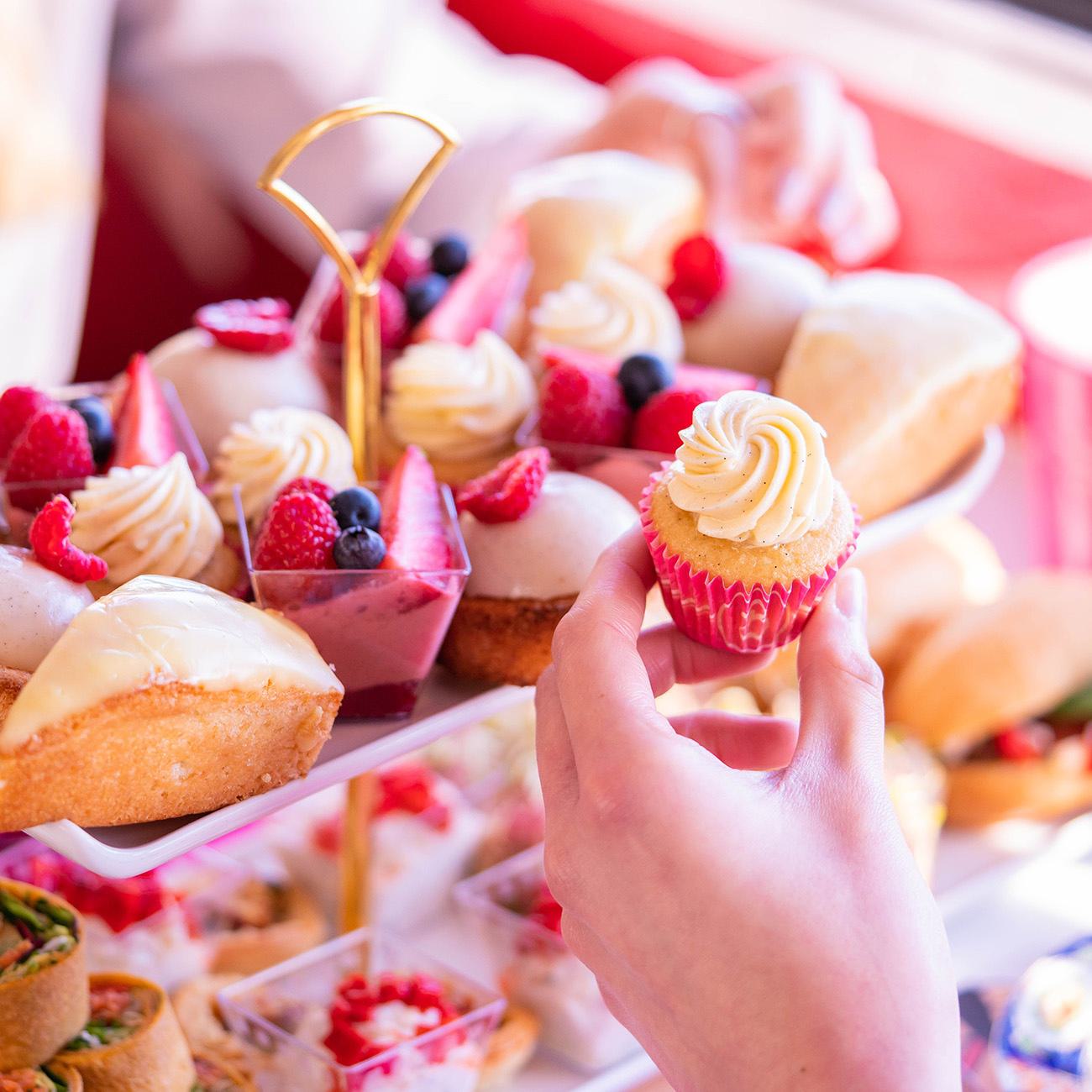 Veganuary Afternoon Tea Bus Tour