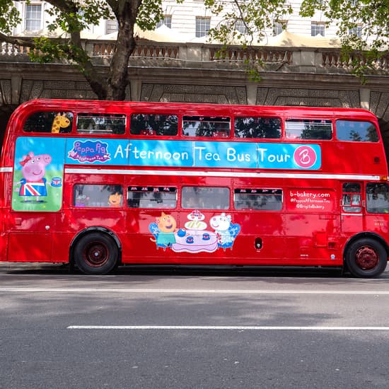 Peppa pig party bus11